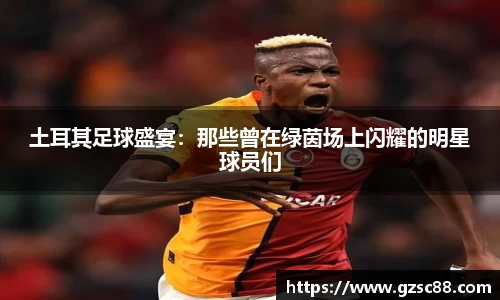 土耳其足球盛宴：那些曾在绿茵场上闪耀的明星球员们