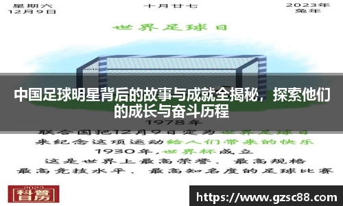 中国足球明星背后的故事与成就全揭秘，探索他们的成长与奋斗历程